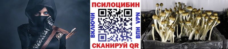 Псилоцибиновые грибы Psilocybine cubensis Ишим